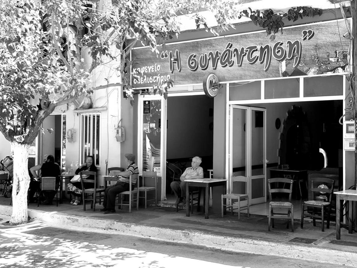 Villa Daniela & Apartments Koutsounári Exterior foto